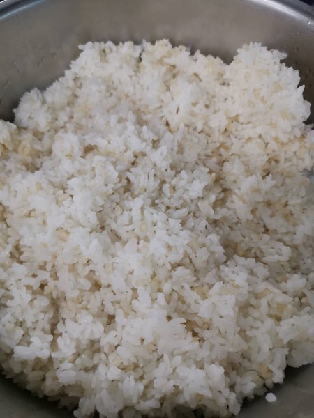 糙米飯