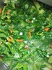 青菜