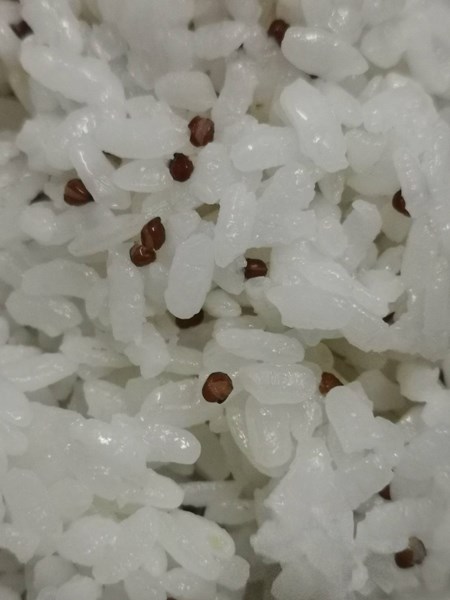 紅藜飯