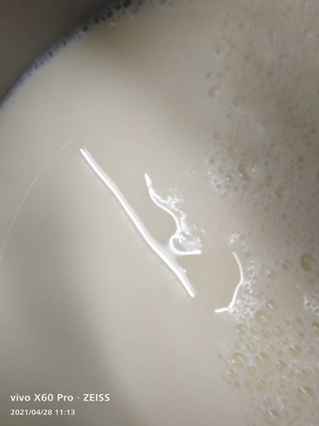 午點豆漿