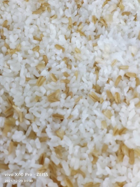燕麥飯