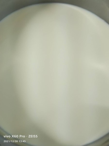 午點牛奶
