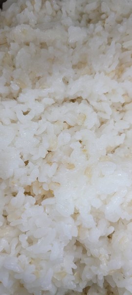 午餐-糙米飯
