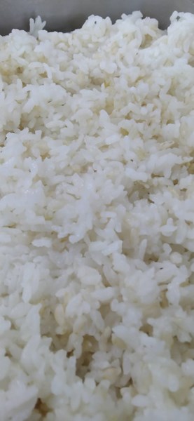 午餐-糙米飯