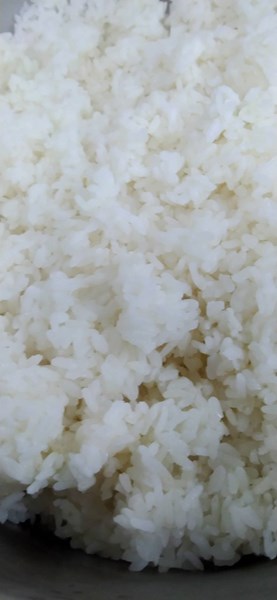 午餐-白飯