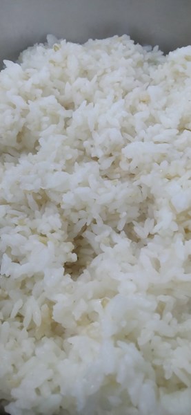 午餐-米飯