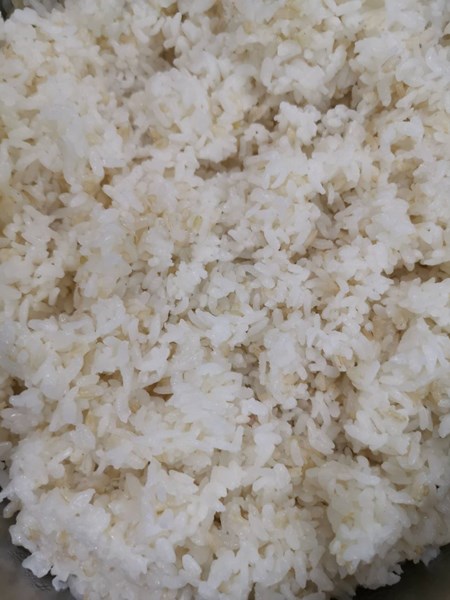 午餐-米飯