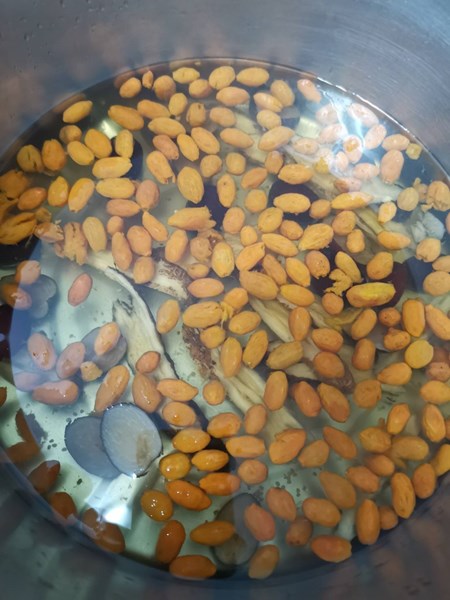 午點-養生飲