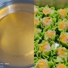 午點-燒賣+大麥飲