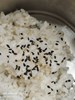 午餐-芝麻糙米飯