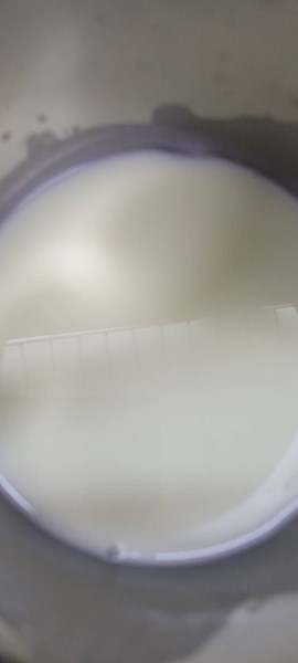 早點-牛奶