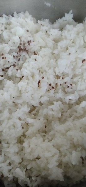 午餐-紅藜飯