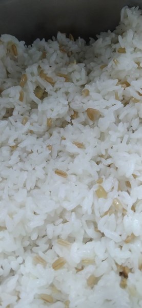午餐-糙米飯