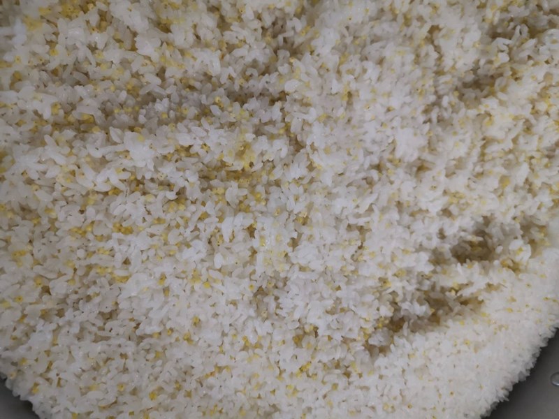 午餐-健康小米飯