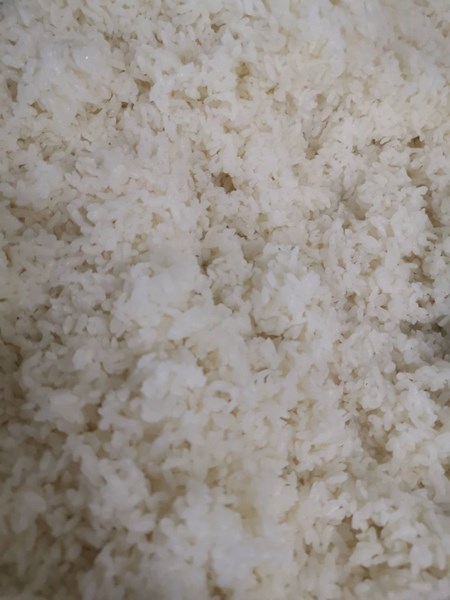 午餐-香Q白米飯