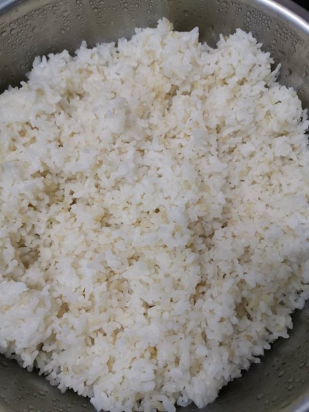 午餐-營養糙米飯