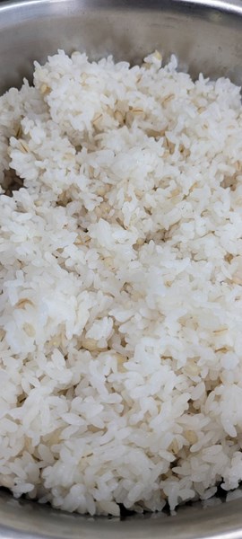 午餐-小薏仁飯