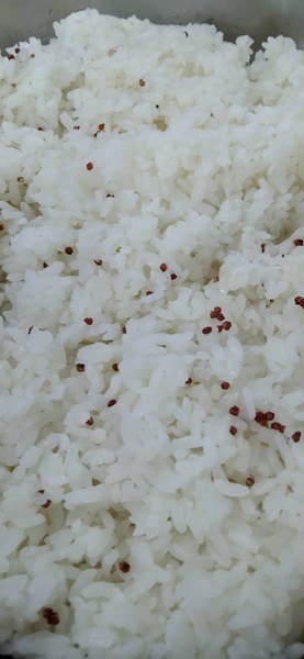 午餐--紅藜飯