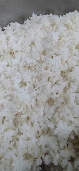 午餐--營養糙米飯