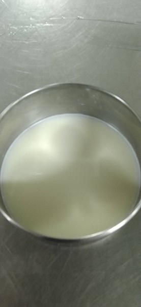 午點--牛奶