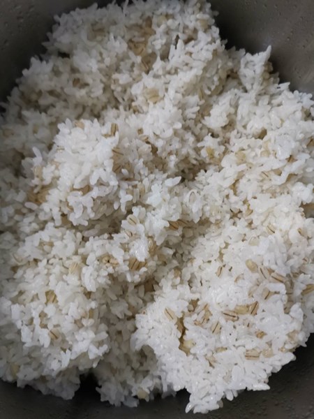 午餐--小薏仁飯