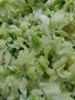 午餐--季節時蔬