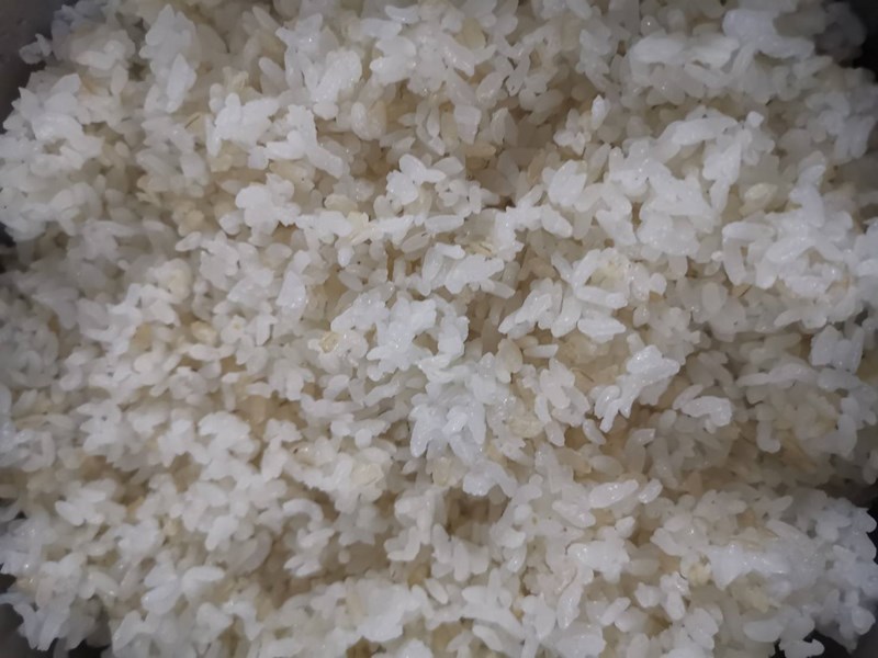 午餐--營養糙米飯