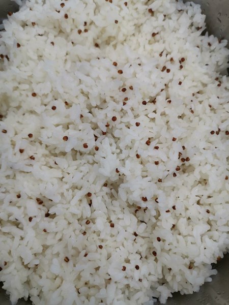午餐--健康小米飯
