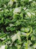 午餐--季節時蔬