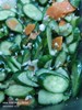 午餐--季節食蔬