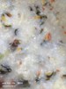 早點--皮蛋瘦肉粥