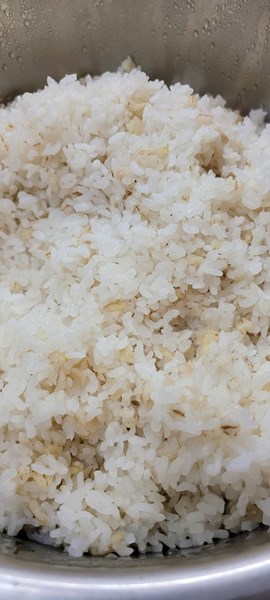 午餐--高纖麥片飯
