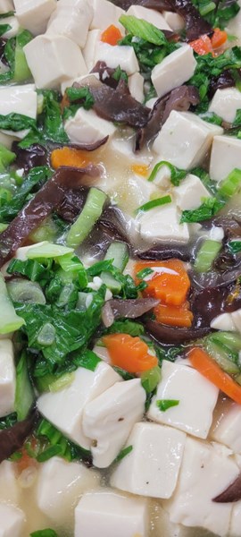 午餐--鮮蔬燴嫩腐