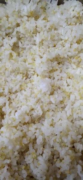 午餐--健康小米飯