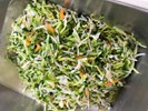 午餐--季節時蔬