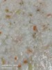 早點--吻魚鮮肉粥