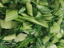 季節時蔬