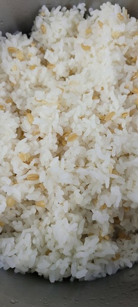 午餐--燕麥飯