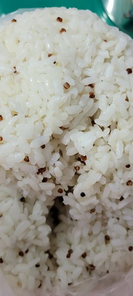 午餐--紅藜飯