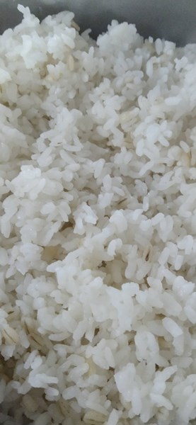 午餐--小薏仁飯