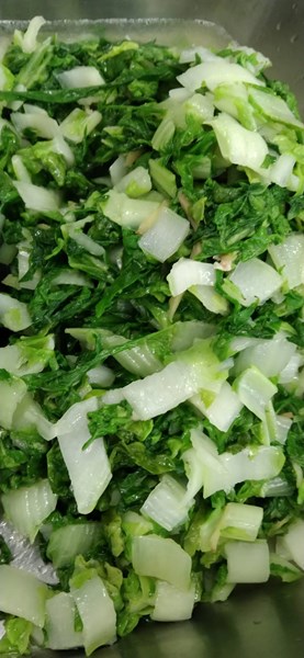 午餐--季節時蔬