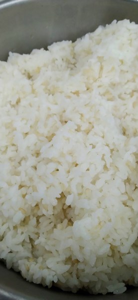 午餐--營養糙米飯
