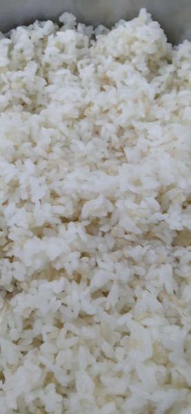 午餐--香Q白米飯