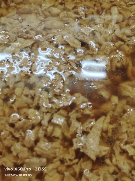 午餐--滷肉燥