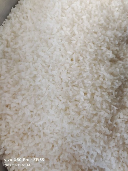 午餐--香Q白米飯
