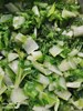午餐--季節時蔬