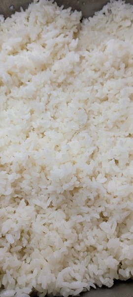 午餐--香Q白米飯