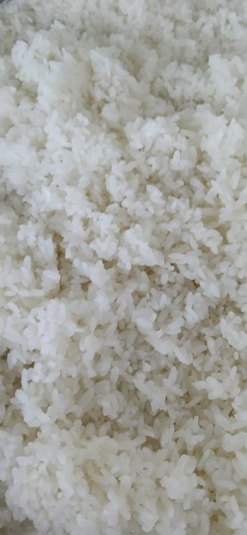午餐--香Q白米飯