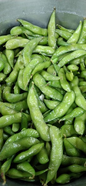 午餐--蒜香毛豆莢