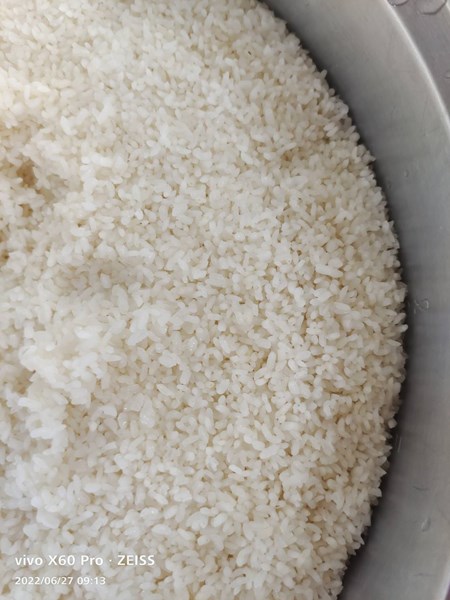 午餐--香Q白米飯